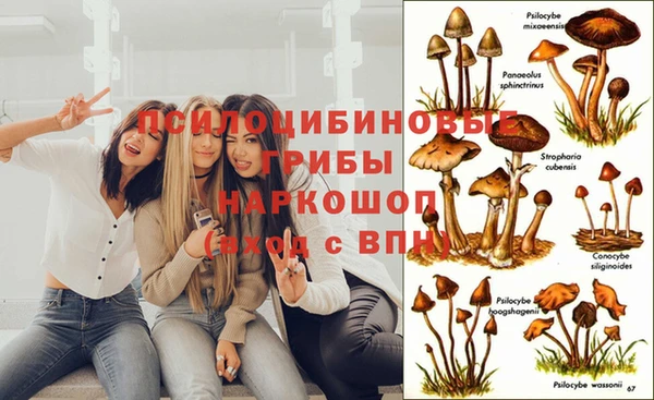 каннабис Балахна