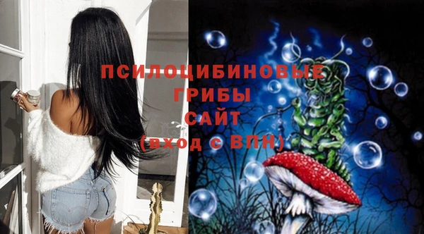прущий лед Арсеньев